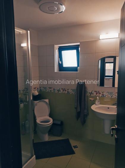 Proprietate Specială Pitești / Bascov - 13