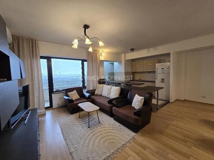 Baba Novac - Dristor 2 Camere LUX Vedere Parc IOR - 7