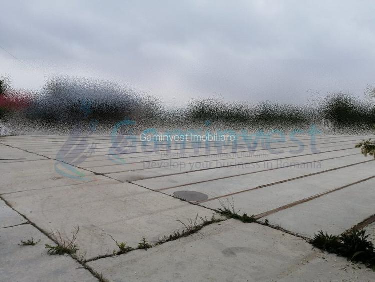 Teren cu platforma betonata si cladire de vanzare, Bihor - 3