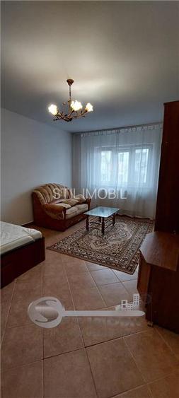 APARTAMENT 1 CAM PODU DE FIER  MOBILAT LIBER - 13
