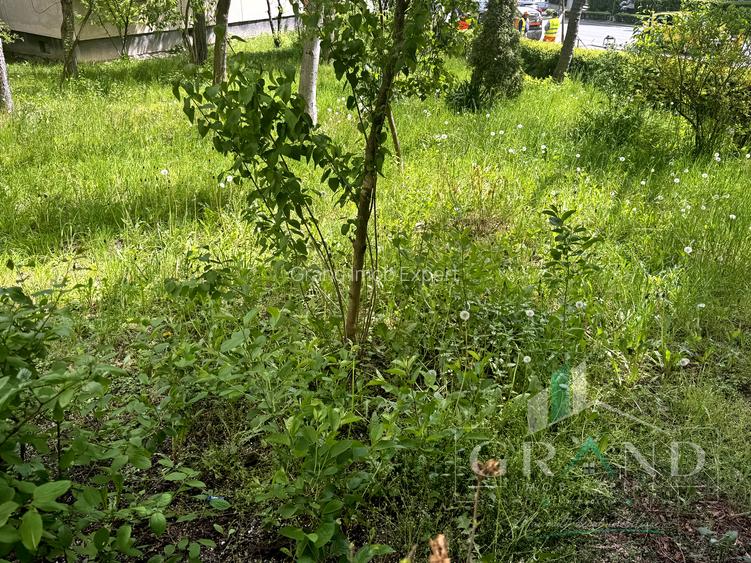 3 Camere Decomandat | 2 Băi | 69 mp | Parter | Zorilor/P-ța Zorilor/Observatorul - 32