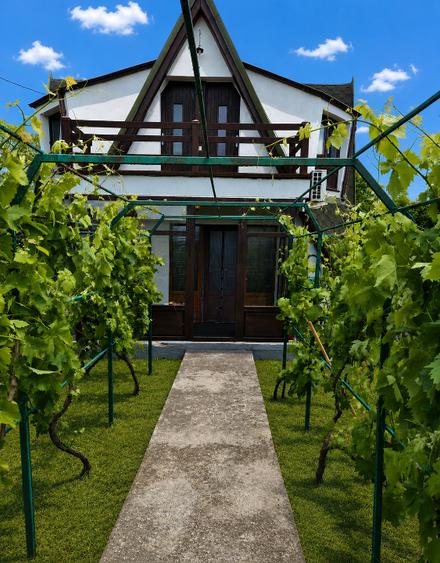 Trăiește in inima Deltei Dunării - Casă de vacanță exclusivă