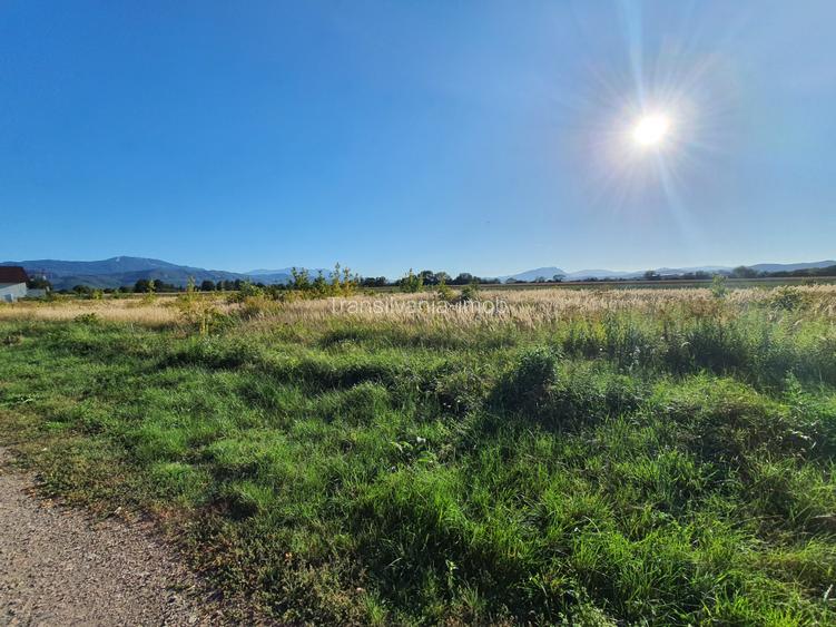 Teren rezidential Brasov – Stupini zona de case - 4