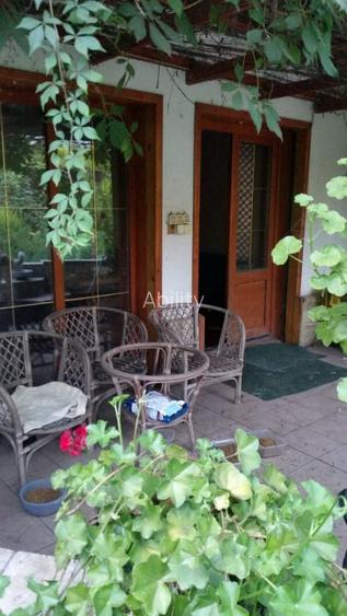 AGIGEA, vila frumoasa, curte deosebita, gaze la poarta, libera - 10