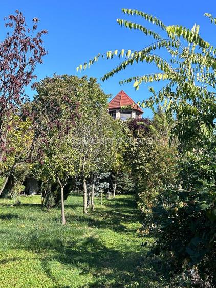 Casă individuală Buftea, 3.162 mp teren, ieșire spre lac - 43