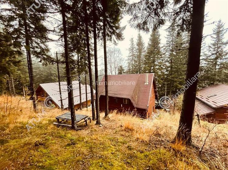 Casa de vacanta/Cabana cu 8 camere de vanzare in Paltinis - 3