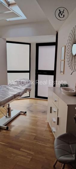 Piata Victoriei -Vila de inchiriat- activitati medicale - 3