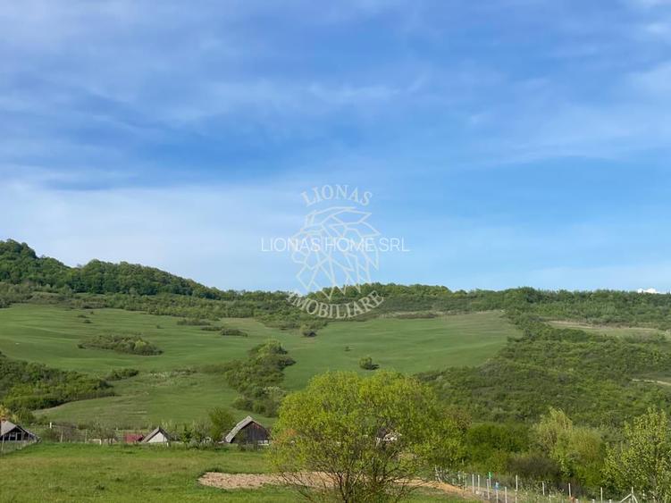 Teren 2160 mp - pretabil pentru cabana - investitie - Jelna - 3