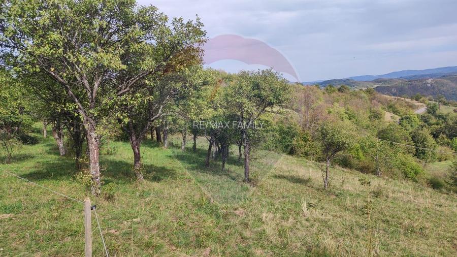 Teren constructii si faneata/livada 3082 mp Damis Bratca drum DJ 764D - 11