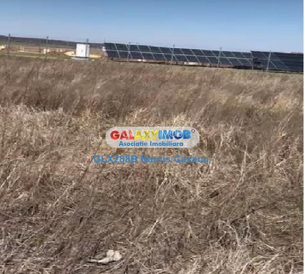 Tartasesti Dambovita vanzare teren 34366 mp - 7