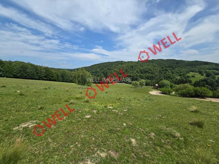 De vânzare teren intravilan în localitatea Scrădoasă! - 6