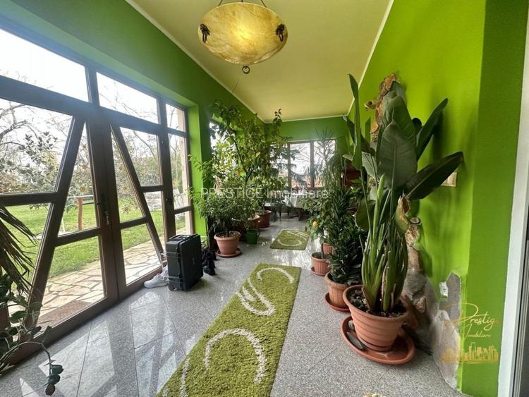 Domeniu - Centru de colectare, 7 ha de vanzare in Valea lui Mihai - 37