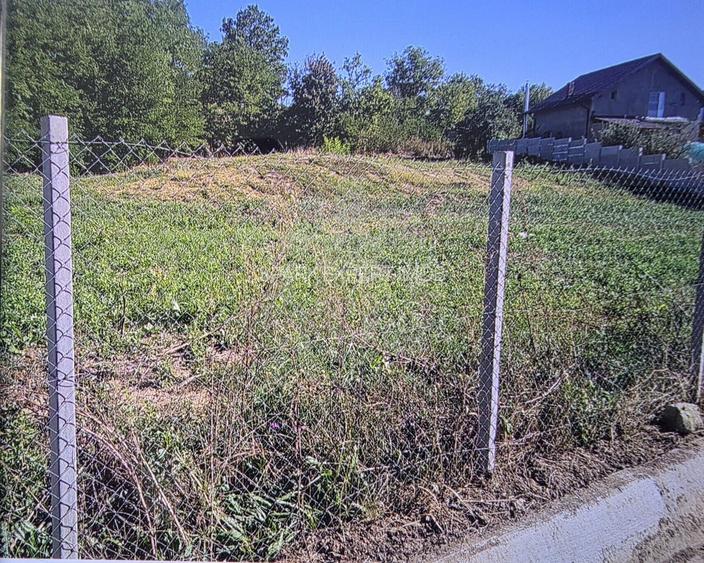 TEREN INTRAVILAN//COM. PLOPU//1300//2700 MP - 6