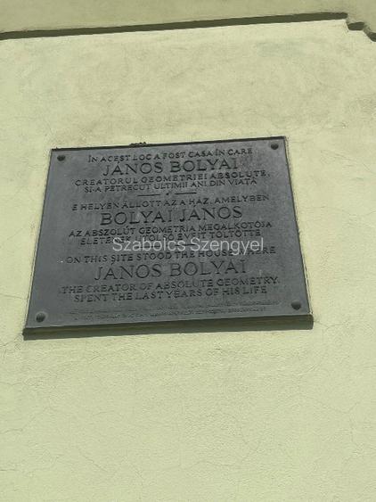 Spatiu comercial si casa de vanzare - 4