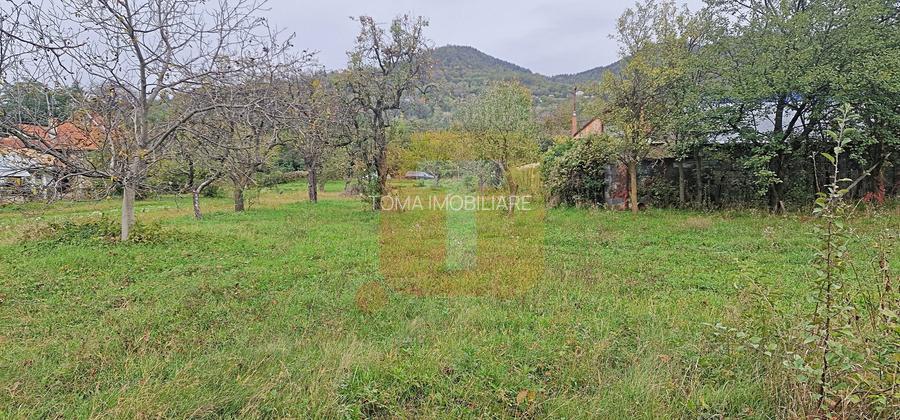 Teren intravilan de vânzare – 1.350 mp – Comuna Alexandru cel Bun - 4