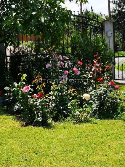 Comision 0% Casa Individuala Buftea P+M Palatul Stirbey Calul Balan Teren 1000mp - 37