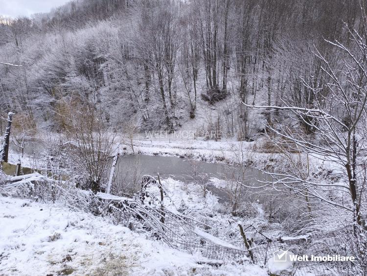 Casa de vacanta, cu lac, 5640 mp teren, Huta, com. Chiuiesti, jud. Cluj - 40