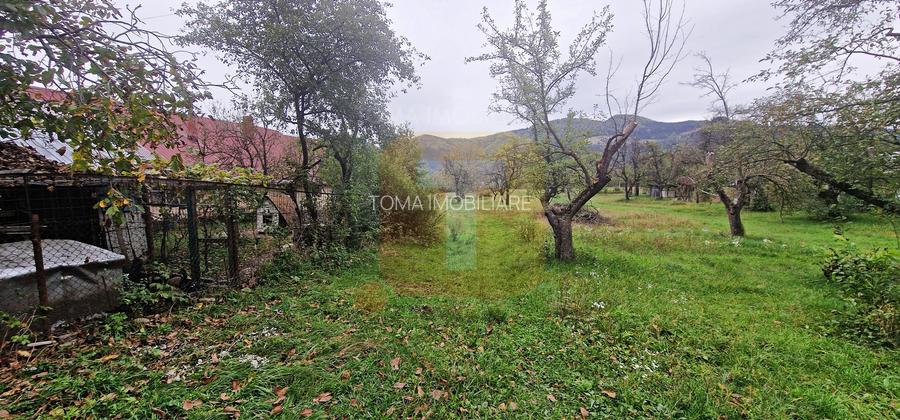 Teren intravilan de vânzare – 1.350 mp – Comuna Alexandru cel Bun - 2