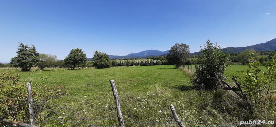 Teren 9350 mp Bran Livada, Extravilan - 2
