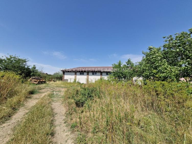 Domnesti - Ciutaci, vanzare 4 loturi de teren intravilan - 18