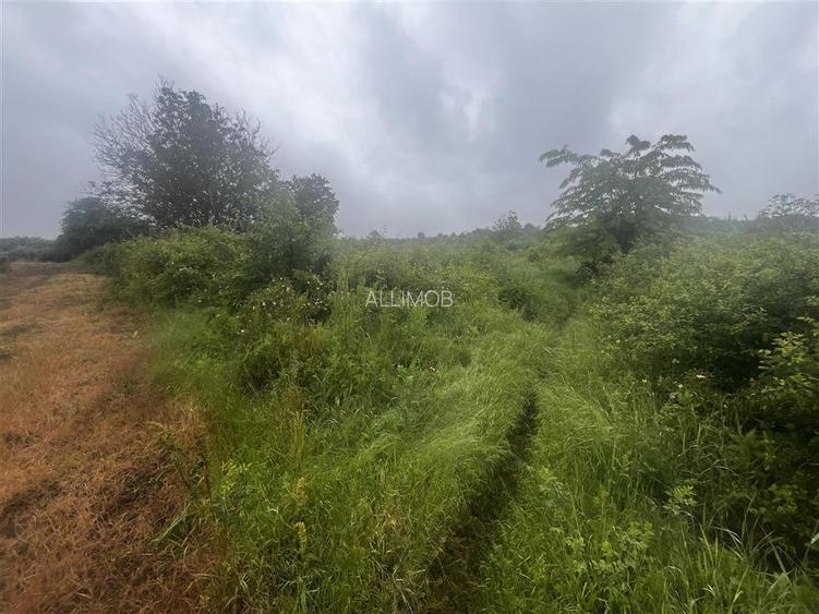 Teren intravilan, 1000mp, in Valea Calugareasca. - 9