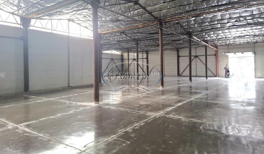 Hala ideala pentru productie sau logistica, pe Calea Baciului - 6
