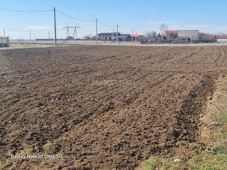 Vand teren intravilan supraf 638 mp com Branesti Vadu Anei pretabil construcție - 4