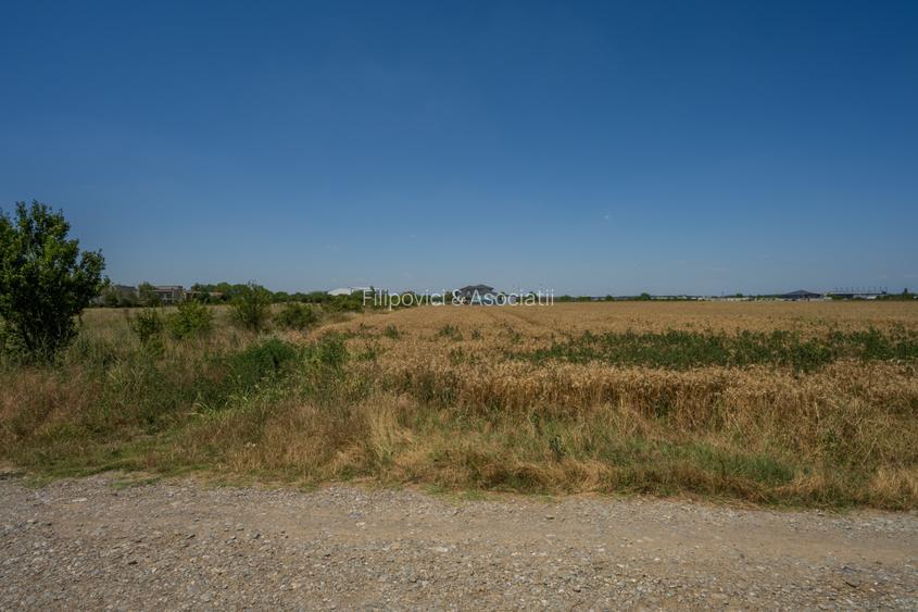 OTOPENI - CARPATILOR, TEREN 1371 MP! - 9