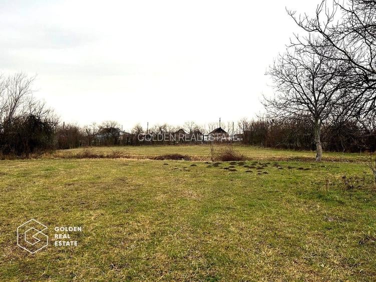 Teren intravilan, pretabil pentru constructie, 2880 mp, comuna Siria - 6