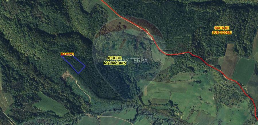 Pădure de vanzare cu zona de cabană Odesti - 4