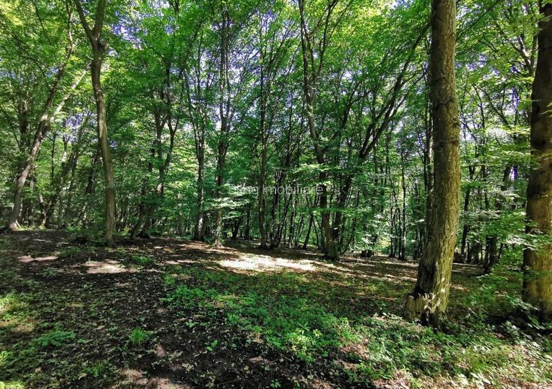 OPORTUNITATE UNICA, Teren inravilan strada Uliului 17234 mp  - 2