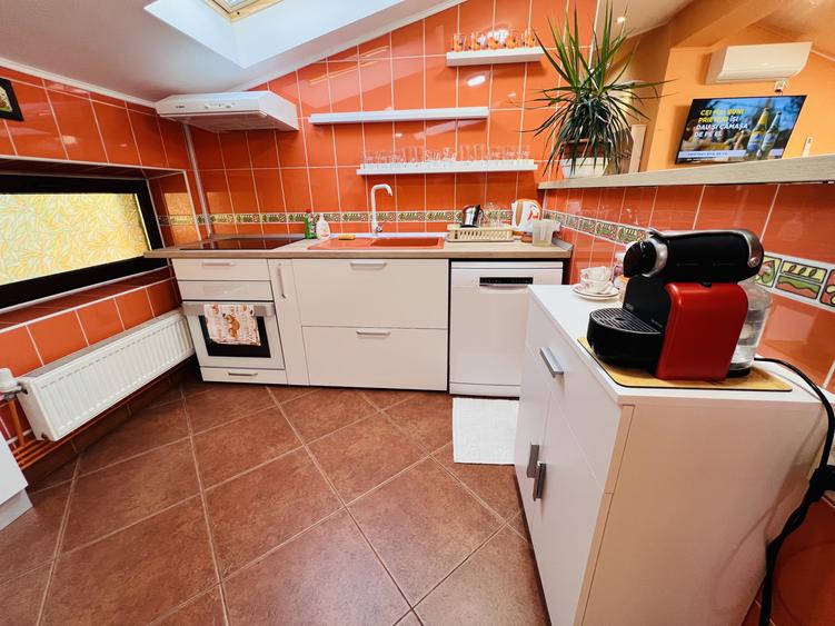 Apartament deosebit în vilă boutique