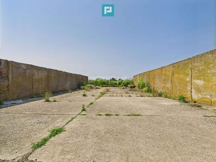 Complex industrial cu hale și teren  în Orțișoara - 29