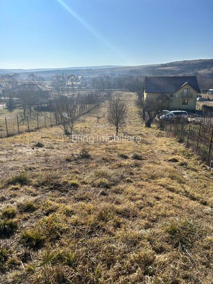 Teren intravilan pentru casa 2400 mp front 16ml Radaia sub pretul pietei  - 2