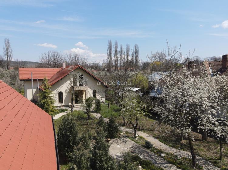 Vanzare vila noua & casa de la 1893 restaurata+ curte de 2.000 mp - 4