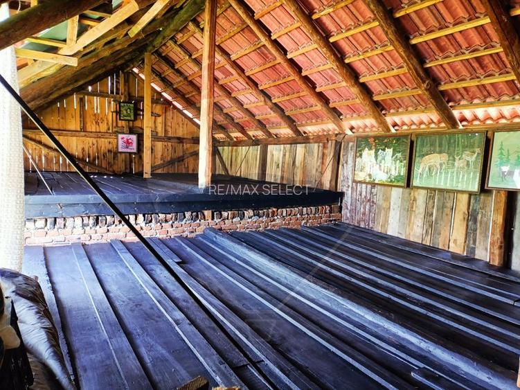 Vânzare casa la munte - zona turistica - Baia de Fier - 23