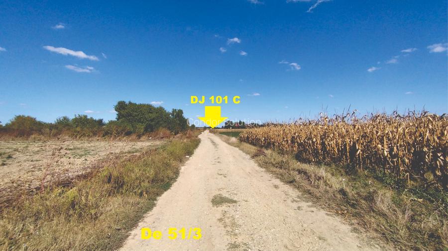 Vanzare teren 4400 mp Snagov - Gruiu, cu deschidere la lacul Snagov - 3