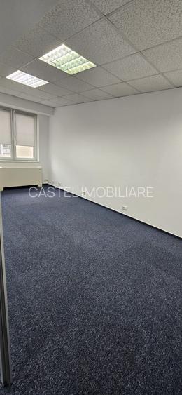 Calea Floreasca - Ceaikovski - 5