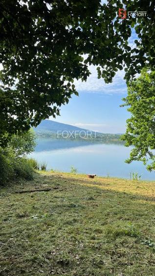 Teren de vanzare 6000 mp cu iesire la Lac Surduc - 8