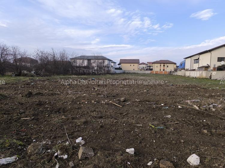 De vanzare 3000mp Strada Baile Herculane - Pantelimon - 2