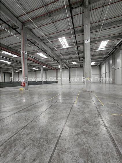 Spatiu Industrial - 4000 mp - Logistica - Productie - Depozitare - Distributie - 3