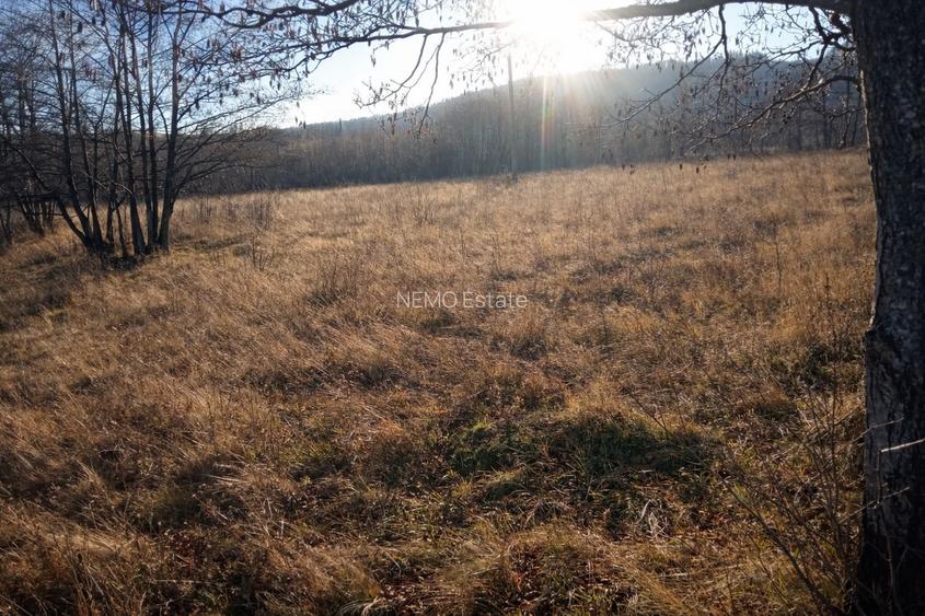 Teren extravilan | Vicovu de Jos | Preț 27.000 | Negociabil - 6