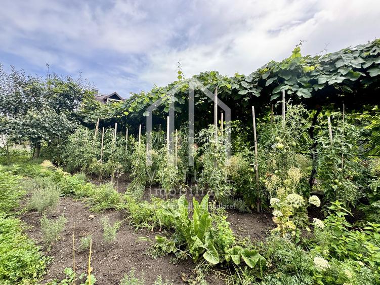 Casa individuala, 505mp teren, pivnita, acces auto, zona Centrala - 13
