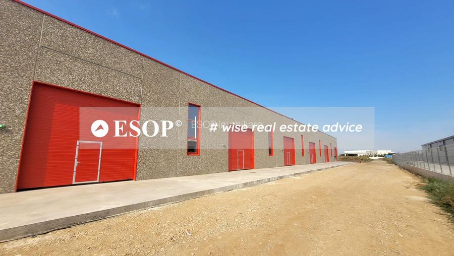 Hale industriale, parc modern, Rudeni, Chitila, Ilfov- ID 15462 - 29