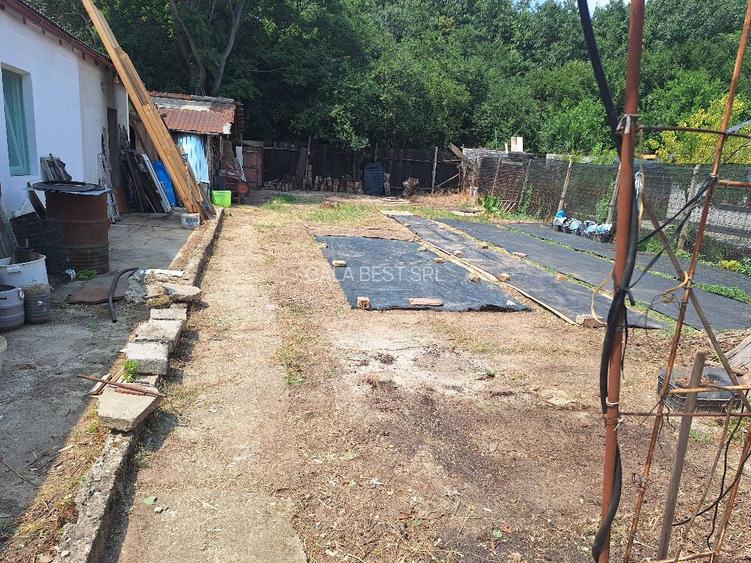 Colentina(Carrefour), teren 249 mp, zona civilizata si linistita - 2