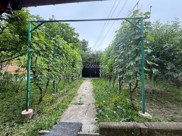 Casă de vânzare în Timișoara, cartier Plopi – 90.000 € - 10