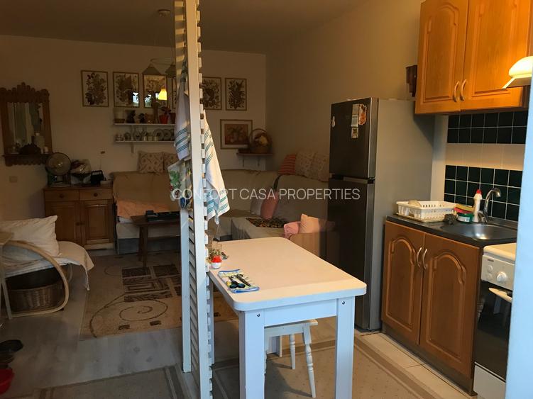 Titan - Hala Laminor - metrou - Apartament 2 camere in vila - curte 37 mp - 2013 - 3