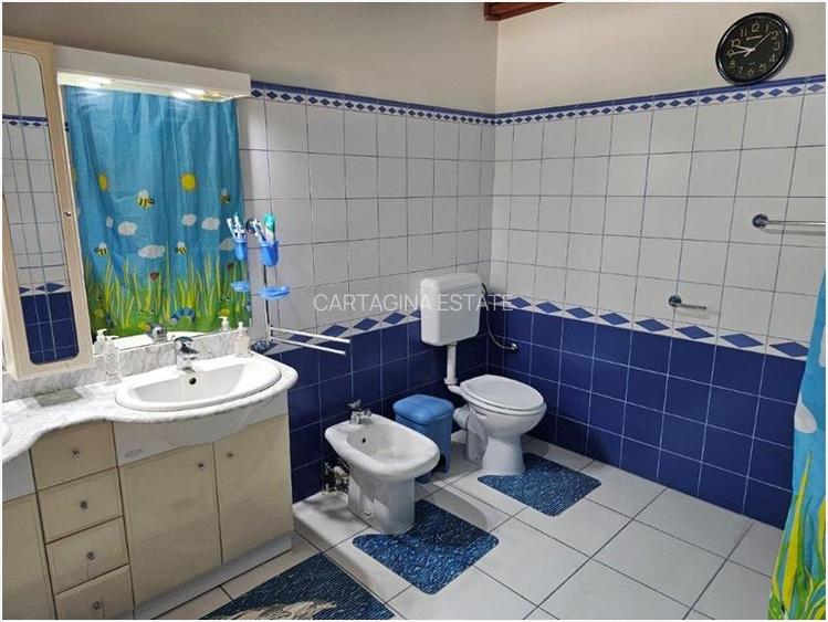 Vila individuala   D+P+1+M   Cambridge School - 23