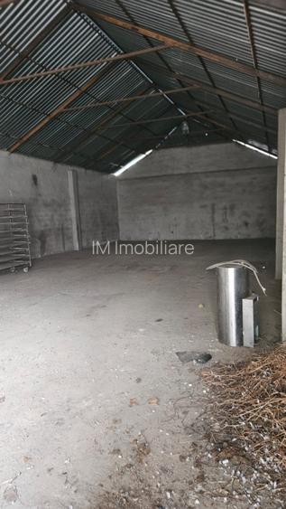 Gelu - Casa 4 Camere -Teren Generos - 2