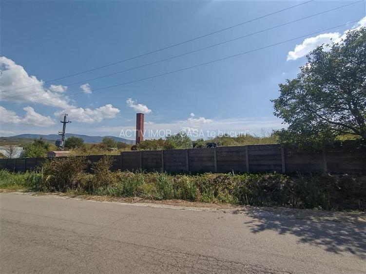 Oravita, Teren Intravilan Drept, In Oras, 16000 Mp., 17 Euro Mp. - 7